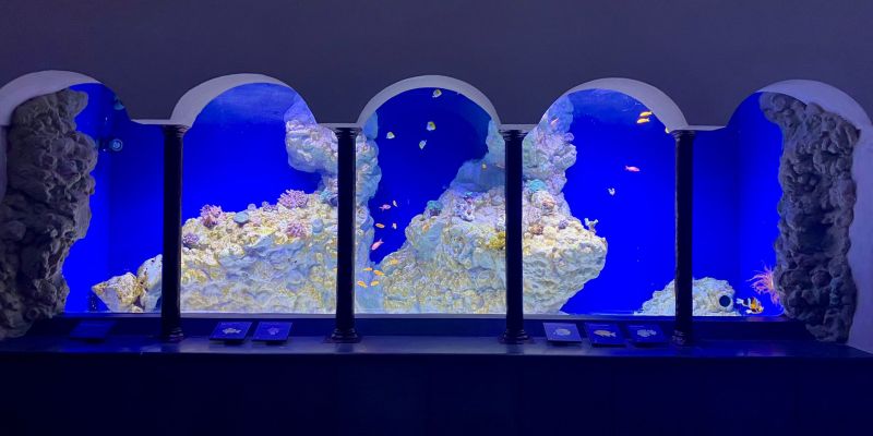 Naples Aquarium